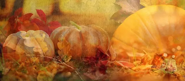 Horoscope for  Friday 31 October 2025