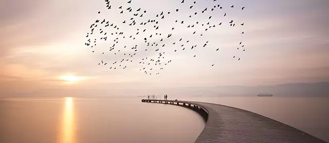 Horoscope for Thursday 20 November 2025