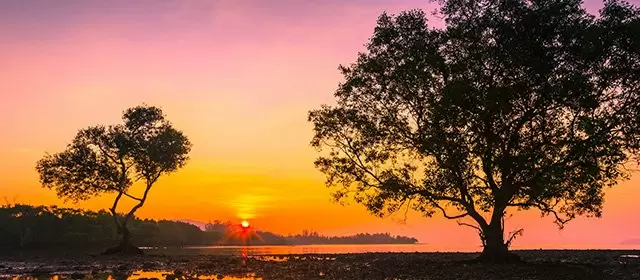 Horoscope for Saturday 22 November 2025