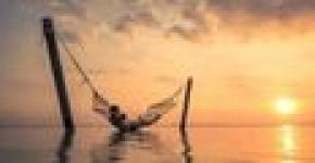 The Transformative Power of Gratitude