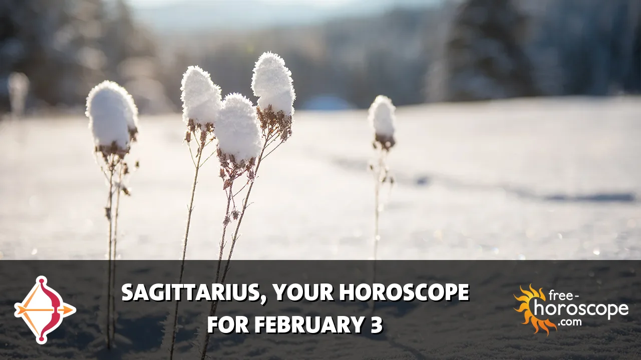 Horoscope Sagittarius - Tuesday, February 3, 2026