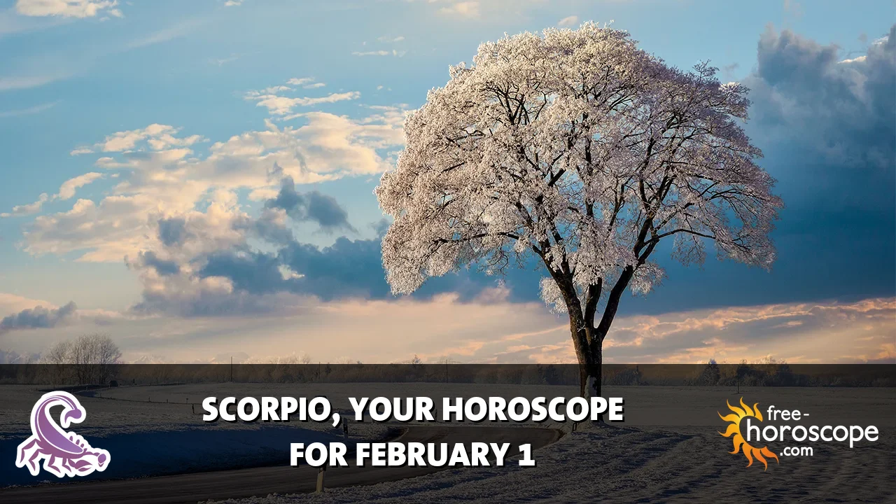 Horoscope Scorpio - Sunday, February 1, 2026