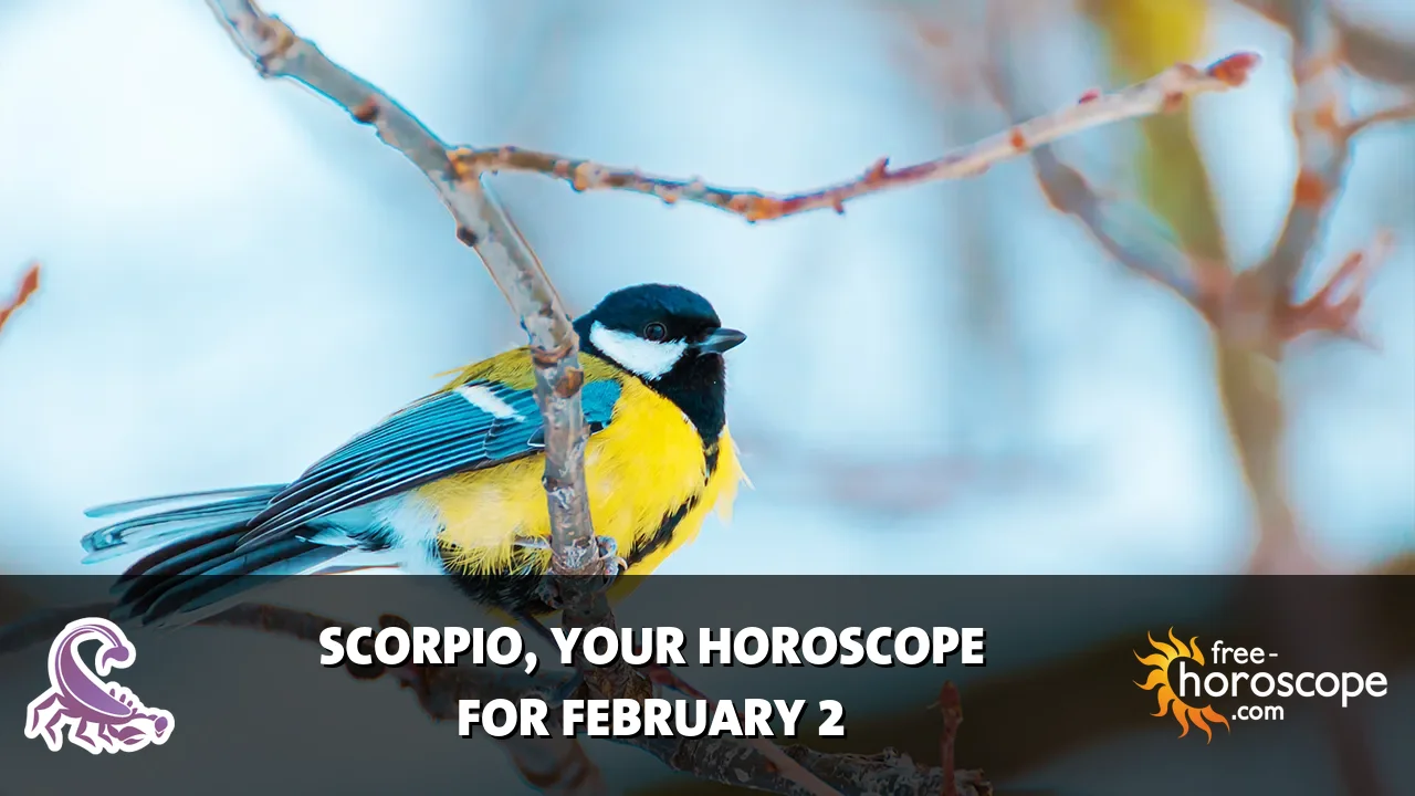 Horoscope Scorpio - Monday, February 2, 2026