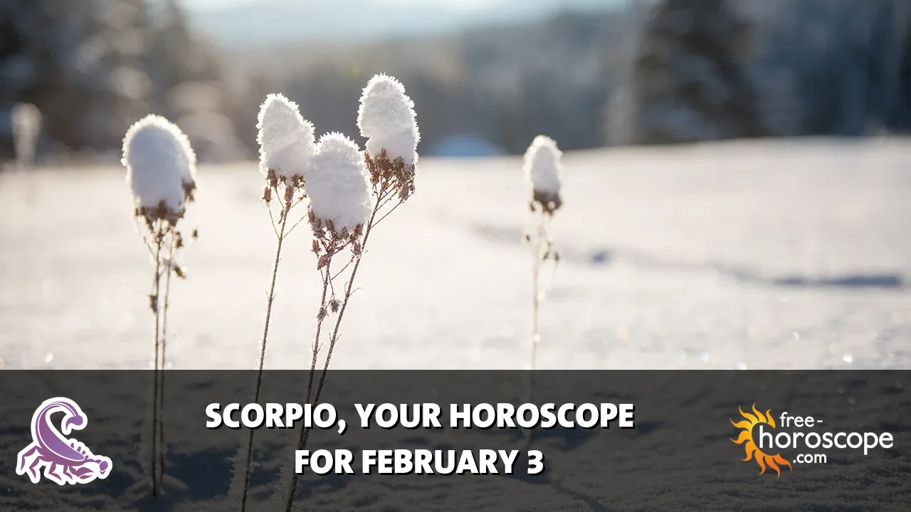 Horoscope Scorpio - Tuesday, February 3, 2026