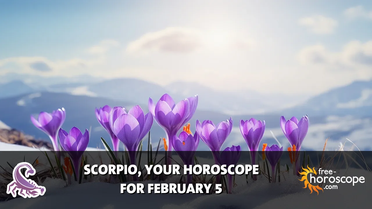 Horoscope Scorpio - Thursday, February 5, 2026