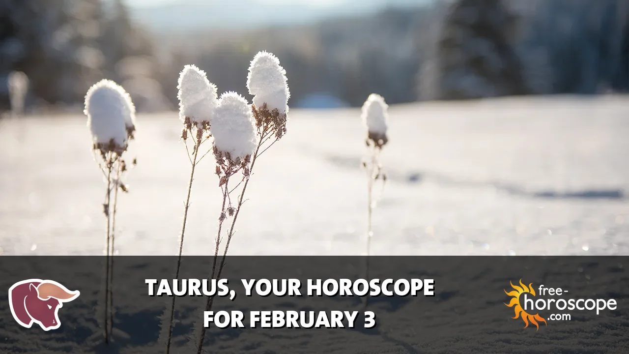 Horoscope Taurus - Tuesday, February 3, 2026