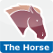 The Water element in Chinese astrology
