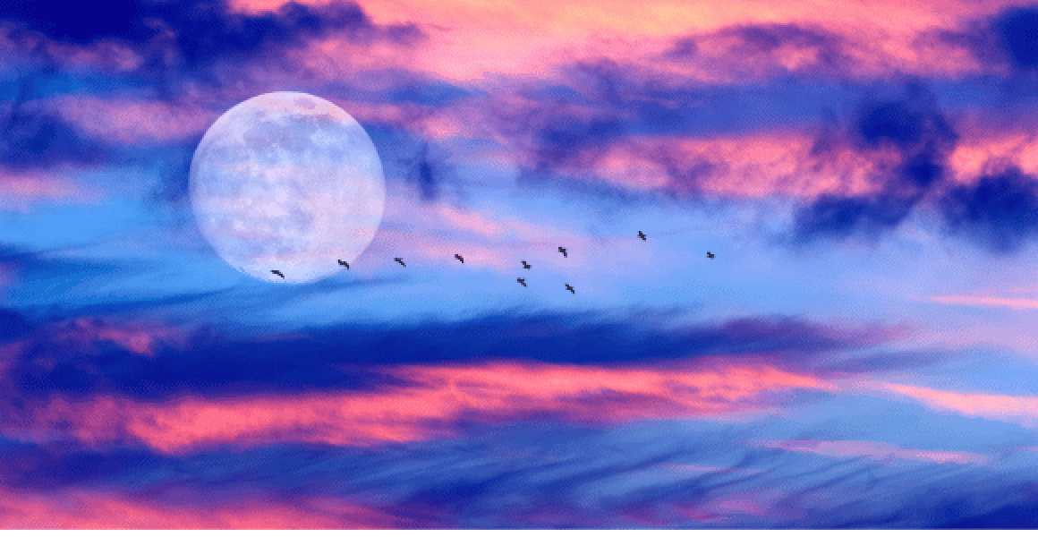 Browse all the influences of the Full Moon in 2025