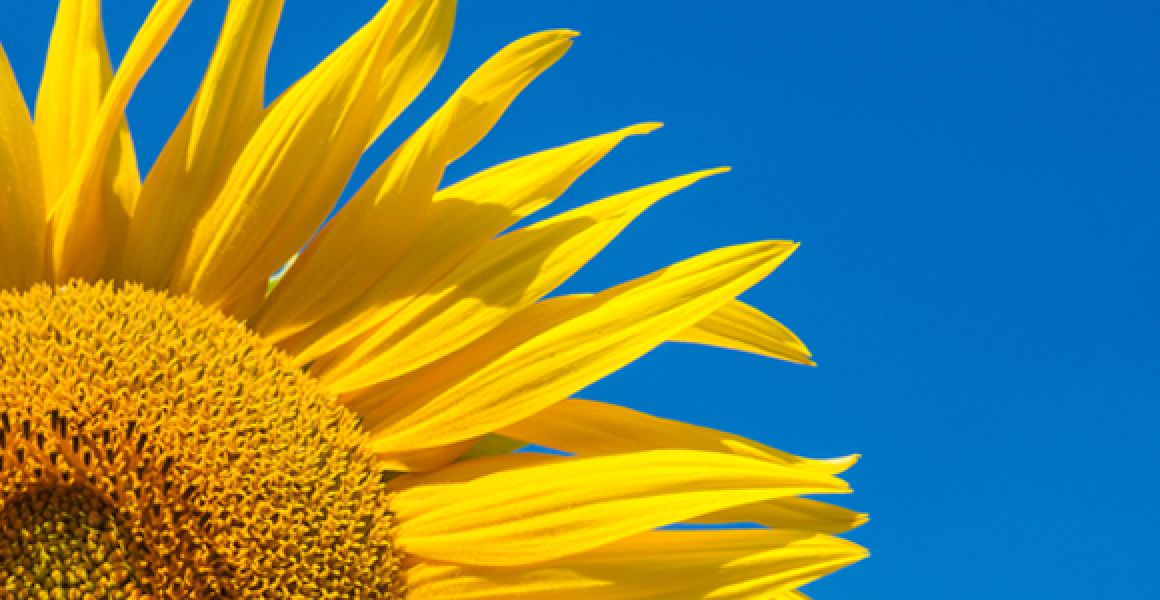 Horoscope for the Summer Solstice in astrology