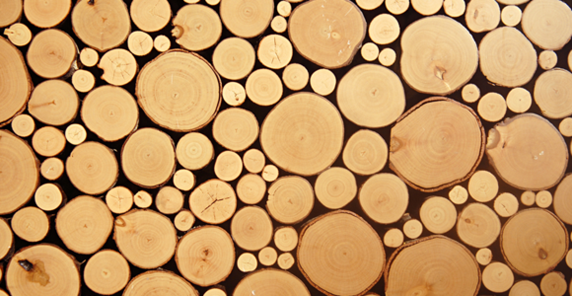 The Wood element in Chinese astrology