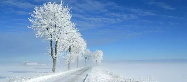 Horoscope for Saturday 3 January 2026