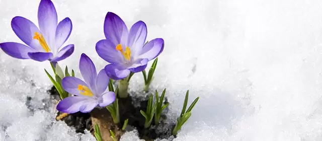 Horoscope for  Wednesday 7 January 2026