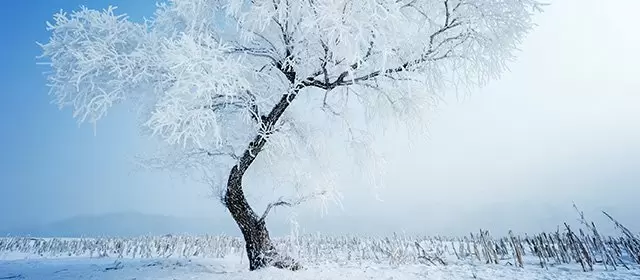 Horoscope for  Friday 9 January 2026