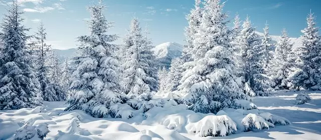 Horoscope for Saturday 24 January 2026