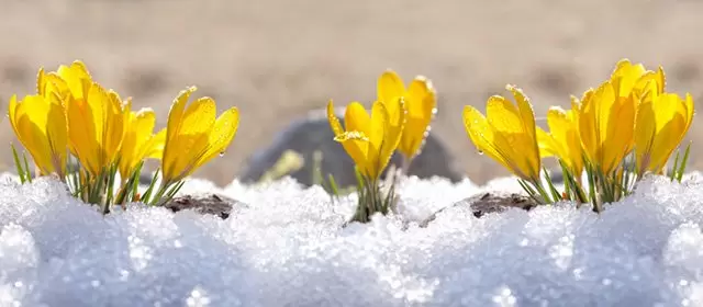 Horoscope for Sunday 25 January 2026