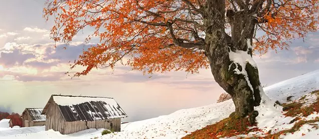 Horoscope for  Saturday 31 January 2026