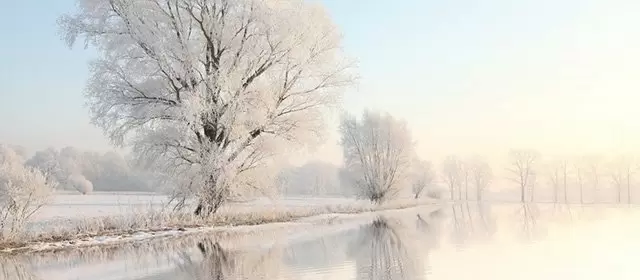 Horoscope for Wednesday 4 February 2026