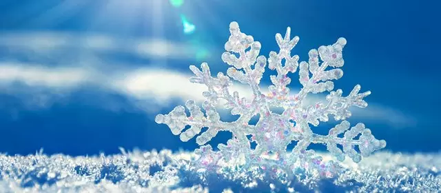 Horoscope for Saturday 7 February 2026