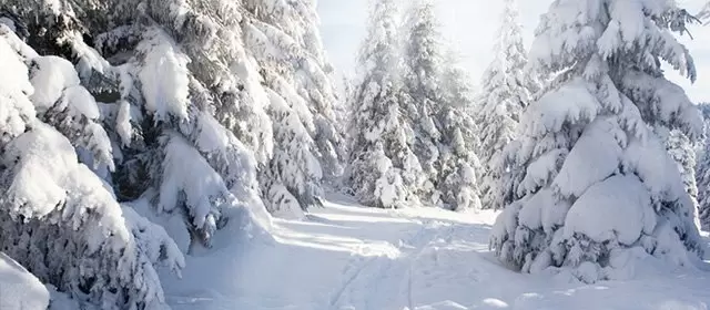 Horoscope for  Wednesday 11 February 2026