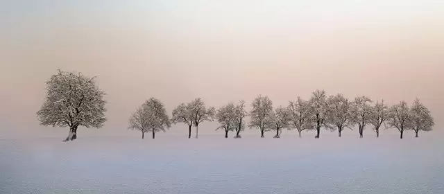 Horoscope for Monday 16 February 2026