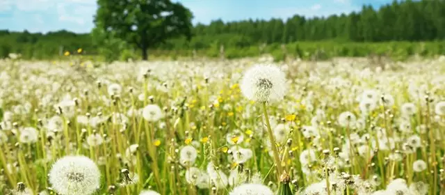 Horoscope for Tuesday 3 March 2026