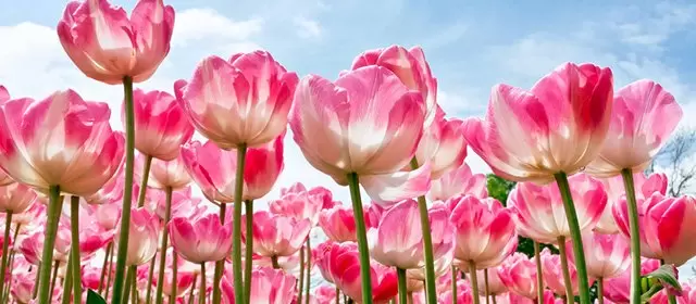 Horoscope for Saturday 7 March 2026