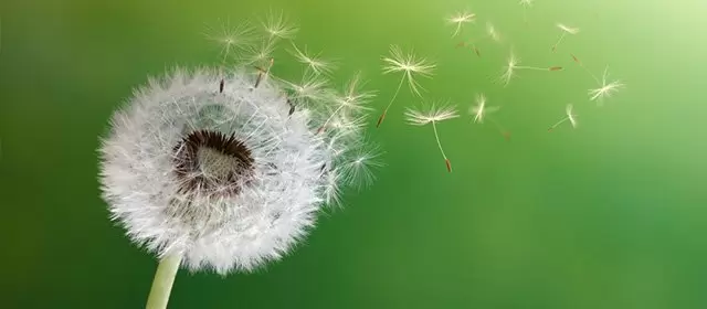 Horoscope for  Wednesday 11 March 2026