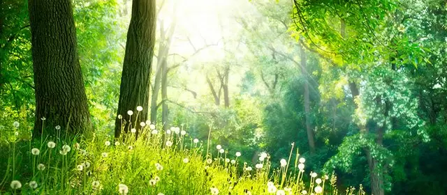 Horoscope for  Friday 13 March 2026