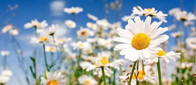 Horoscope for Sunday 15 March 2026