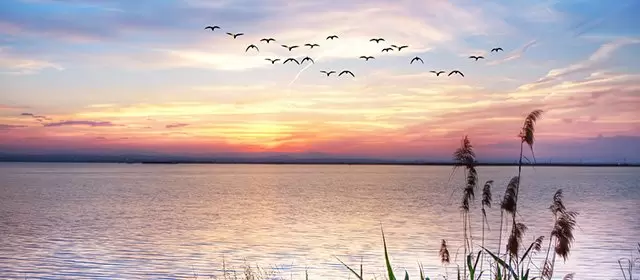 Horoscope for  Monday 16 March 2026