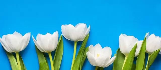 Horoscope for  Wednesday 18 March 2026