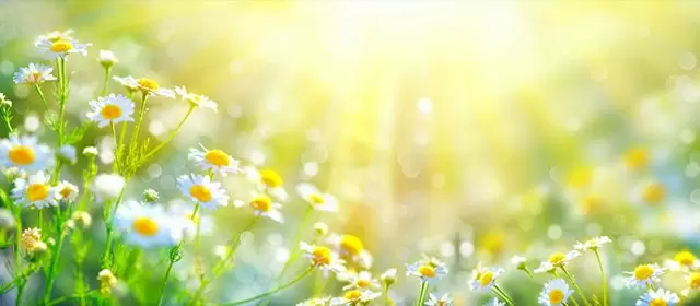 Horoscope for  Thursday 19 March 2026