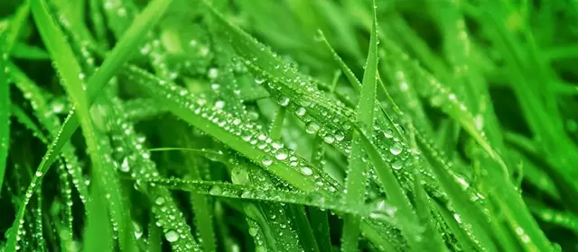 Horoscope for Friday 20 March 2026