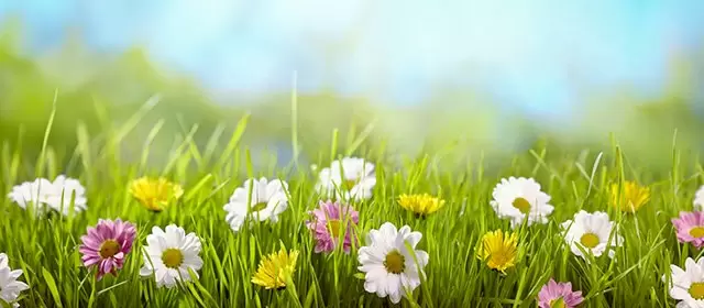 Horoscope for Friday 28 March 2025