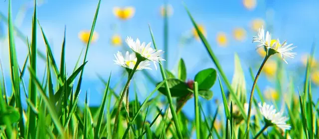 Horoscope for Friday 3 April 2026