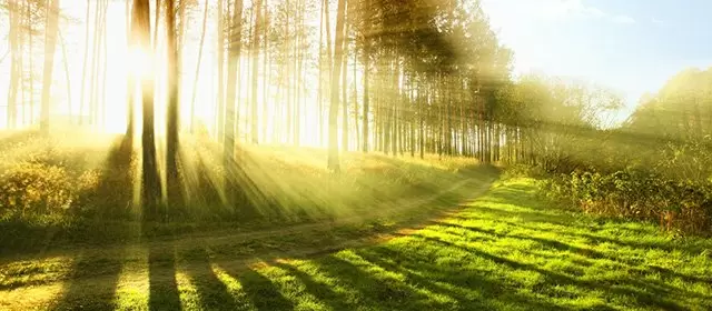 Horoscope for Tuesday 7 April 2026