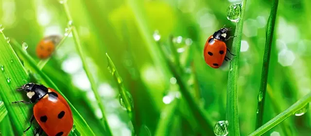 Horoscope for Sunday 12 April 2026