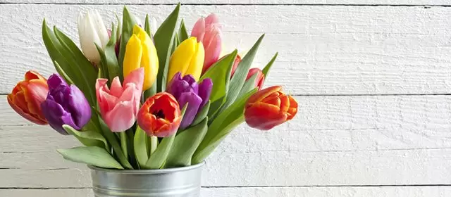 Horoscope for  Tuesday 14 April 2026