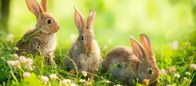 Horoscope for  Wednesday 15 April 2026