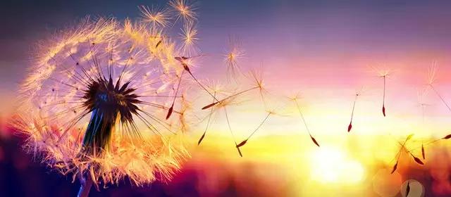 Horoscope for Sunday 25 May 2025
