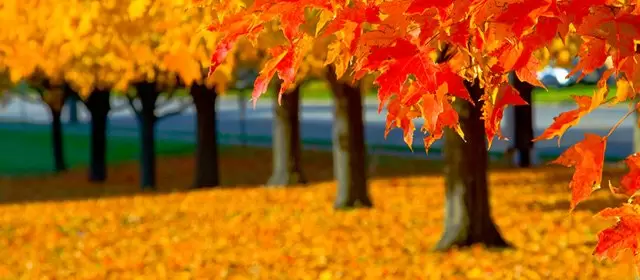 Horoscope for Thursday 2 October 2025