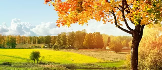 Horoscope for Friday 3 October 2025