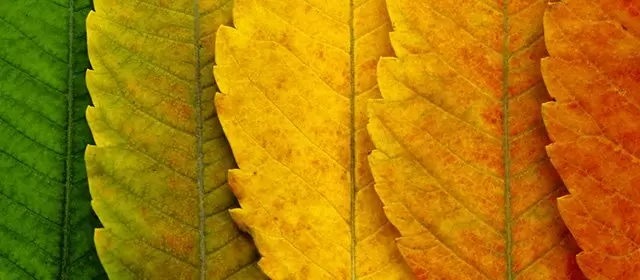 Horoscope for Saturday 4 October 2025