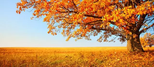 Horoscope for Friday, October 9, 2026