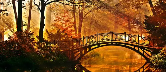 Horoscope for  Sunday 12 October 2025