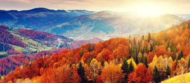 Horoscope for  Thursday 16 October 2025