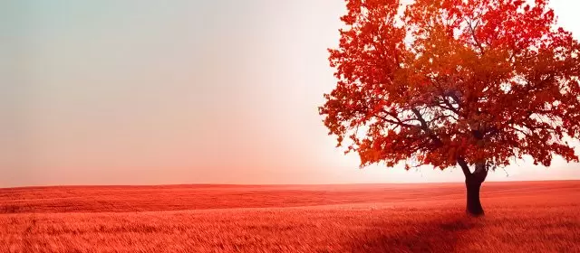 Horoscope for  Friday 17 October 2025