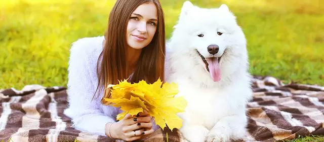 Horoscope for Sunday 26 October 2025