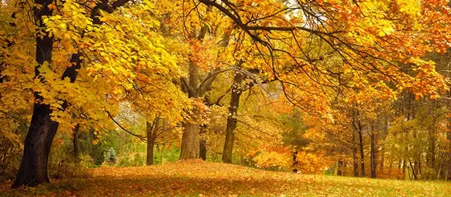 Horoscope for Monday 10 November 2025