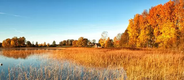 Horoscope for Thursday 13 November 2025